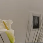 스위타임 * 밀라노